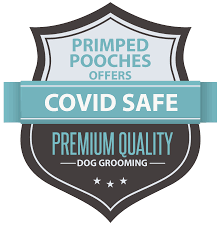 We did not find results for: Mobile Dog Groomers In Allen Frisco Mckinney Tx Pet Grooming By Primped Pooches Mobile Dog Spa
