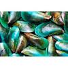 Resep kerang hijau kupas / sayur kerang kupas : 1