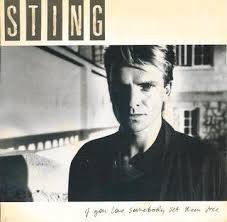 (1985) if you love somebody set them free was the first single i did on my own away from the police. If You Love Somebody Set Them Free Wikipedia