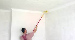 Let the plaster dry for at. Cat Apa Yang Lebih Baik Untuk Siling Di Apartmen 58 Gambar Komposisi Pewarna Siling Berasaskan Air Bertekstur Bagaimana Untuk Memilih Untuk Dapur