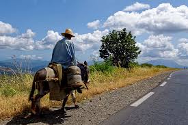 La page officielle de la jeunesse sportive de kabylie. Hd Wallpaper Man Riding On Pony Beside Highway Kabylie Algeria Africa Landscape Wallpaper Flare