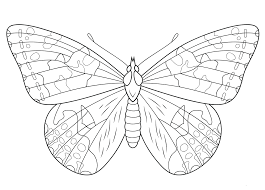 Let your imagination go wild as they flit about, visiting flowers. Painted Lady Butterfly Coloring Page Butterfly Coloring Page Super Coloring Pages Insect Coloring Pages