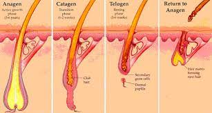 Last year alone we treated more than 420,000 australians and new zealanders in our 80. Laser Hair Removal Hair Reduction Hair Remover Laser Surgery Australia