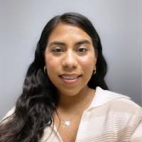 9500+ "Pintor" profiles