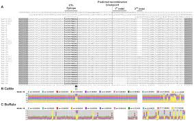 What would the amino acid sequence be specified by the transcribed dna sequence? Plos One Two Theileria Parva Cd8 T Cell Antigen Genes Are More Variable In Buffalo Than Cattle Parasites But Differ In Pattern Of Sequence Diversity