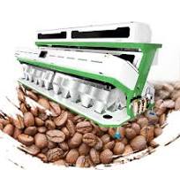 Custom Processing Equipment - Large Fast Coffee Bean Sorting ...