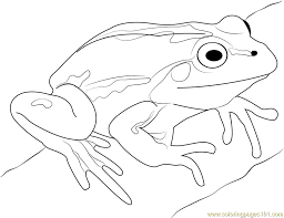 Maybe you would like to learn more about one of these? Cute Frog Coloring Page For Kids Free Frog Printable Coloring Pages Online For Kids Coloringpages101 Com Coloring Pages For Kids