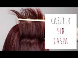 Resultado de imagen de Cabellos sin caspa