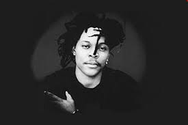 Majek Fashek - Refined NG