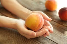 Do they have the ability to digest it? Can Dogs Eat Peaches Pet Comments