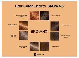 Colorist cherin choi took dark brown hair and transformed it into a warm chestnut shade that looks absolutely made for her happy client. Find The Right Shade Of Brown Hair Colour For Glossy Brunette Locks In This Post Based On Your Skin Brown Hair Shades Brown Hair Color Shades Hair Color Chart
