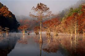 Maybe you would like to learn more about one of these? Oklahoma Fall Foliage Broken Bow Luxury Cabins