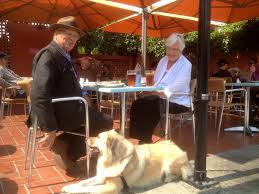 Etiquette tips for dogs at outdoor restaurants. Pet Friendly Restaurants Near Me Pet S Gallery