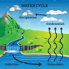 Water Cycle Vector Illustration In 2020 Water Cycle Water Cycle Project Cycling Design