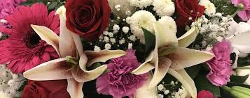 Vielle, Jonathan Tyrese