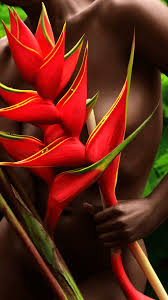 Pod & capsule coffee machines └ coffee, tea & espresso makers └ home appliances └ home, furniture & diy all categories antiques art baby books, comics & magazines business, office & industrial cameras & photography lavazza 18000396 idola pod coffee machine 1500 watt black. 2021 Lavazza Calendar