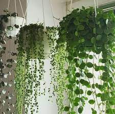 Pin On Home Ideas