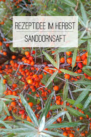 Rezept Sanddornsaft Selber Machen Einfach Lecker Und Gesund Saft Sanddorn Rezepte Selber Machen