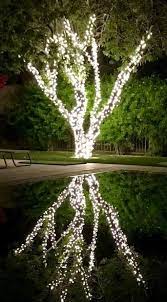 Pin On Landscape Lighting