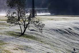 Guarapuava marcou 0,1°c e curitiba registrou a menor temperatura do ano: Chegada De Frente Fria Derruba As Temperaturas E Ha Previsao De Geada