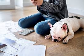 Om du bara ska godkänna. Tips Infor Deklarationen 2021 Vad Behover Du Veta Burenstam Se