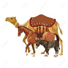 Camels are a mammal of the camelidae family. Set Of Vector Pack Animals Camel Horse And Donkey Illustration Royalty Free Cliparts Vectors And Stock Illustration Image 94691548