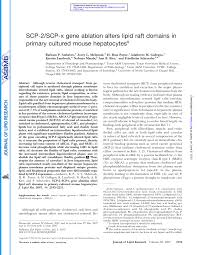 108 din constitutia romaniei, republicata, si al art. Pdf Scp 2 Scp X Gene Ablation Alters Lipid Raft Domains In Primary Cultured Mouse Hepatocytes