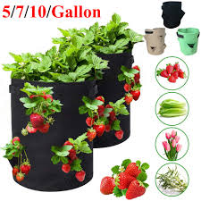 Plants grow close enough together to crowd out competing weeds so you spend less time weeding. Garden Outdoor Planting Grow Bag Strawberry Vertical Flower Herb Pouch Root Breathable Vegetable Round Reusable Pot Planter D30