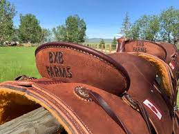 Kyle wade is the saddle retail manager and saddle buyer for nrs. Woody S Custom Saddles Woody S Custom Saddles