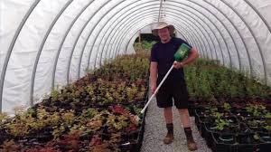 Fertilizing at the wrong time can cause damage to your tree. Fertilizing Japanese Maples Youtube