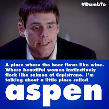 Dumb And Dumber Dumb Quotes Comedy Movie Quotes Dumb And Dumber
