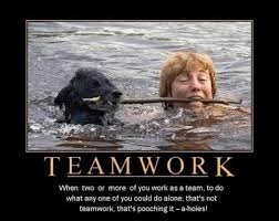 Best funny teamwork quotes selected by thousands of our users! Funny Teamwork Quotes For Work Quotesgram