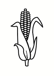 Color in this picture of corn on the cob and share it with others today! Coloring Page Corn Free Printable Coloring Pages Img 23215