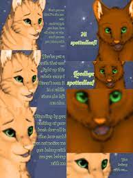 Lyrics From Taylor Swifts Song You Belong With Me Fireheart And Sandstorm Made By Warriorcatsultima Fireheart And Sandstorm Taylor Swift Songs Warrior Cats