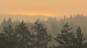 Mayor jan polderman reported it took just 23 minutes for a fire on the south side of lytton to turn into a billowing blaze that targeted main street, tearing through the town and sending residents fleeing in all directions. Air Quality Advisories Posted For Vancouver Island Due To B C Wildfire Smoke Ctv News