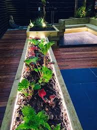 Garden Lighting Using Led S In Sleeper Beds Garden Path Lighting Backyard Landscaping Designs Backyard Garden Design