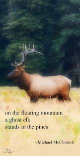 Haiku Poem On The Floating Mountain By Michael Mcclintock Haiku Poems Nature Haiku Haiku Poetry