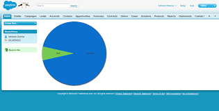 Create Pie Chart Using Visualforce Page In Salesforce