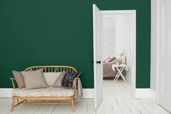 Inspired by the rolling countryside, lush fields of foliage and grassy plains, this hot hue calls us to put down our phones and connect back to nature. Kelly Green Sadolin Paint
