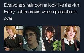 Harry Potter In 2020 Funny Harry Potter Jokes Harry Potter Memes Hilarious Harry Potter Puns