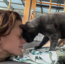 🎈🍾UPDATED 14/10/24: FOUND! This afternoon, there was a tap