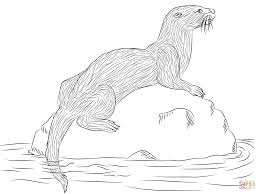 Sea Otter Coloring Pages Google Search Coloring Pages Coloring Books Bee Coloring Pages