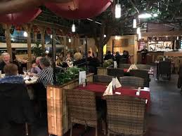 Bambus fachhandel mit über 50 winterfesten bambus sorten. Photo1 Jpg Picture Of Bambus Garten Dusseldorf Tripadvisor