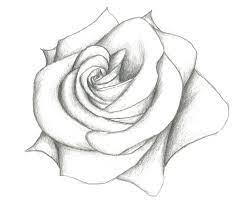 A beautiful drawing of a rose with an bee. Rose Drawing Drawn Rose Pencil For Kid Pencil And Inlor Drawn Jpg Cliparting Com
