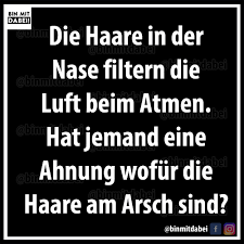 Ich hab keine ahnung was du meinst, aber ich bin dabei! Das Ist Schmutzig Falsch Und Moralisch Hochst Verwerflich Bin Dabei Facebook