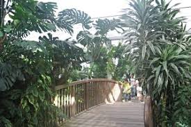 Der botanische garten hat das ganze jahr über geöffnet. Der Botanische Garten Duisburg Kaiserberg Mamilade Ausflugsziele