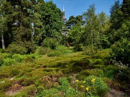 Wunderbarer botanischer garten mitten in frankfurt. Botanischer Garten
