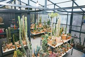 80 delancey st, new york, ny 10002. This Excellent New Store In Nyc Sells Cactus Not Clothes Gq