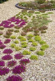 There are groundcovers for hot, dry sites, ground covers for shade, poor soil and areas that are always wet. Pin On Outdoors