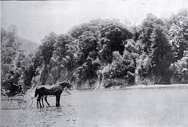 Cheviot-Kaikoura coach road ...